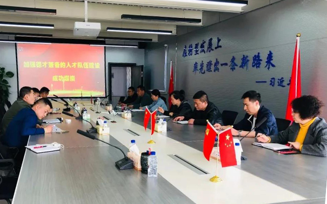 【成功黨建】成功煤炭組織人(rén)才隊伍建設大(dà)讨論活動
